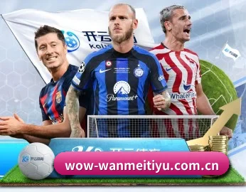 完美体育登录入口 APP | Wanmei