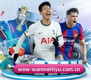 完美体育登录入口 APP 界面 | Wanmei
